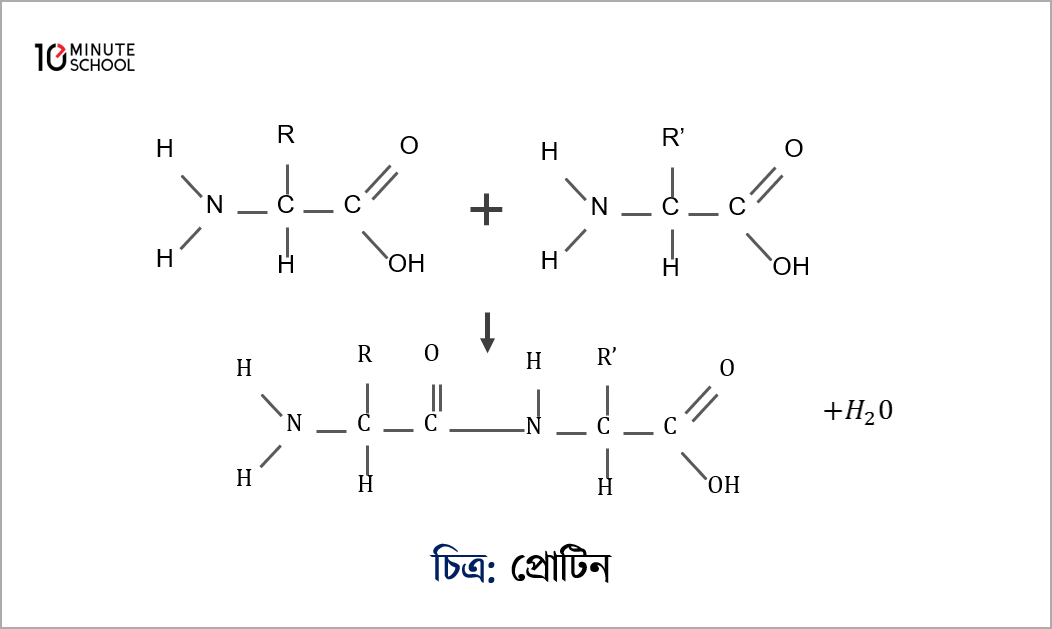 Rus tilida jinsiy matrix video