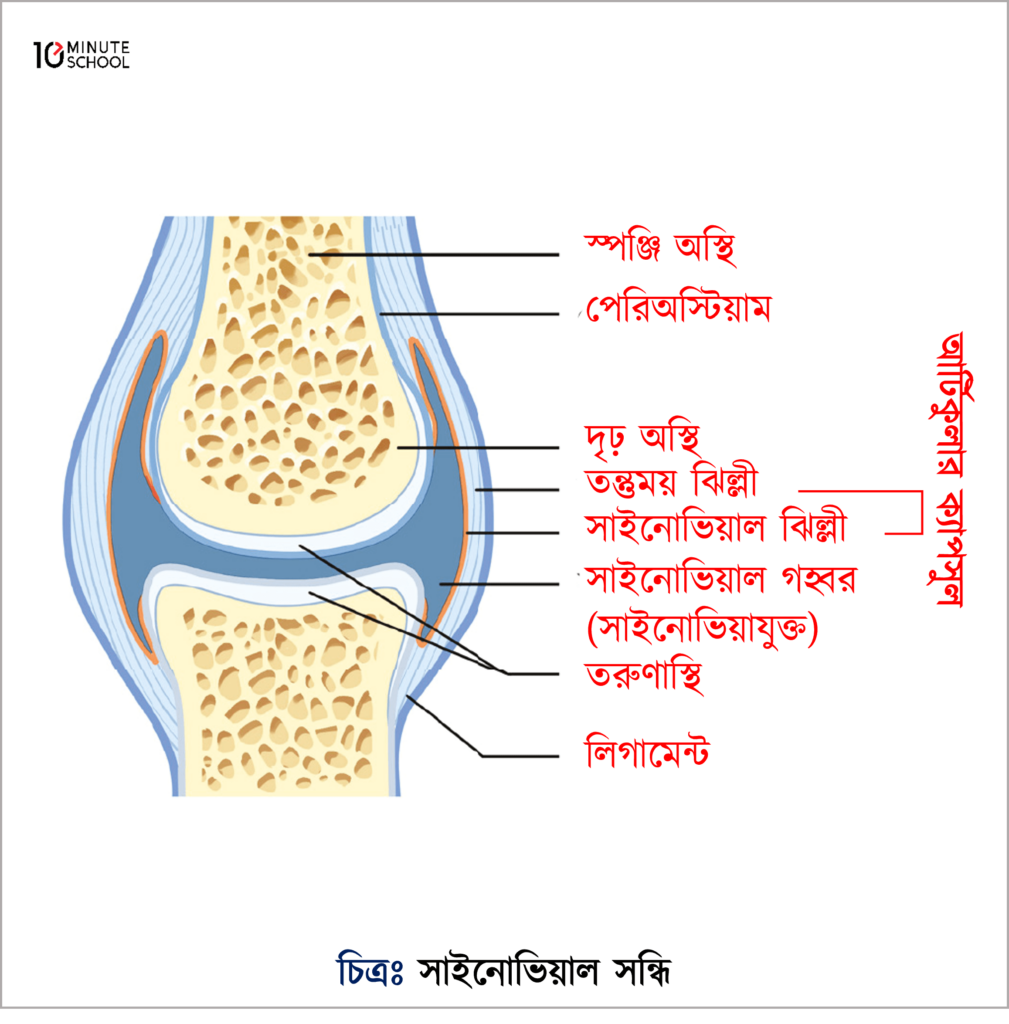 Big Stan porno Erkaklar orgazmga olib kelish uchun barmoqlaridan foydalanadilar.
