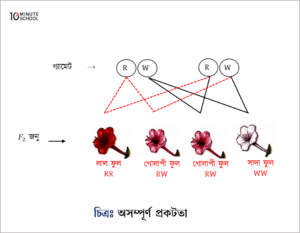 Genetic Explanation - 2