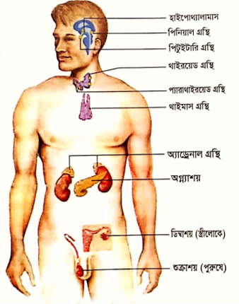 Ajoyib Kiara Mia begonalar bilan har xil turdagi jinsiy aloqa qilishni yaxshi koradi